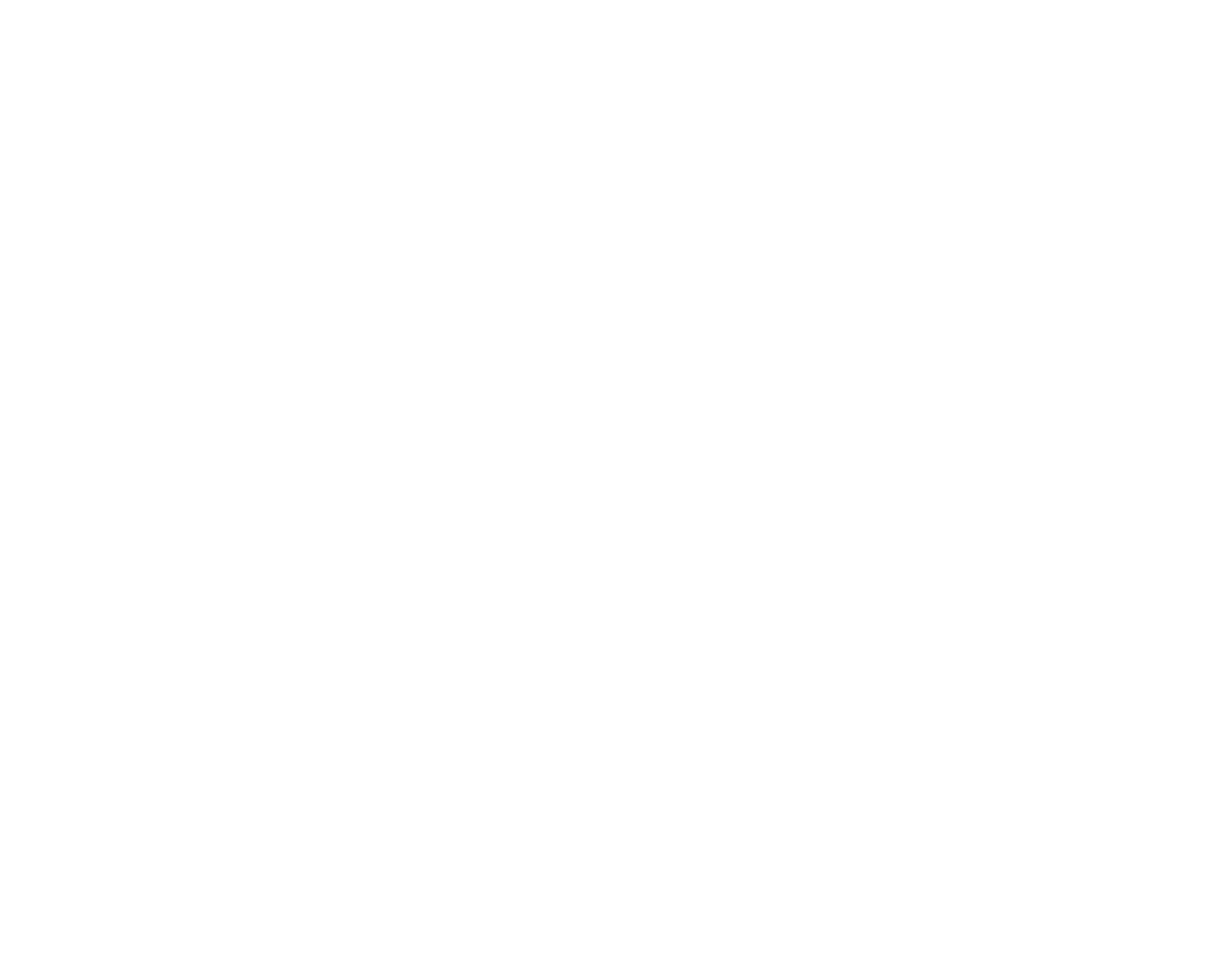 Catamaran SXM