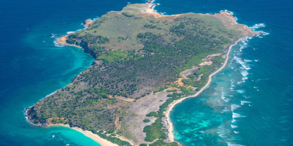 18-tintamarre-plage-beach-playa-saint-martin-agnes-etchegoyen-2 18-tintamarre-plage-beach-playa-saint-martin-agnes-etchegoyen-2