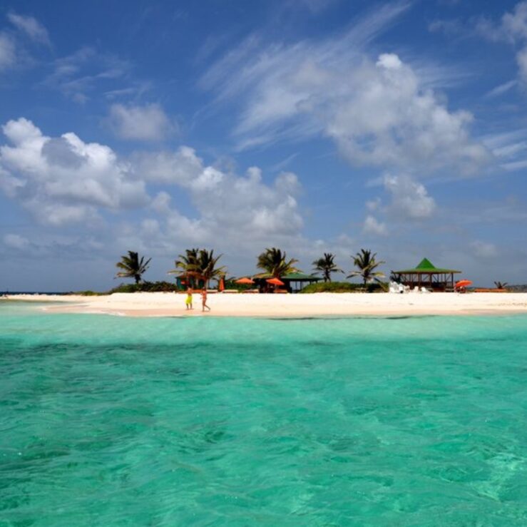 banniere-anguilla