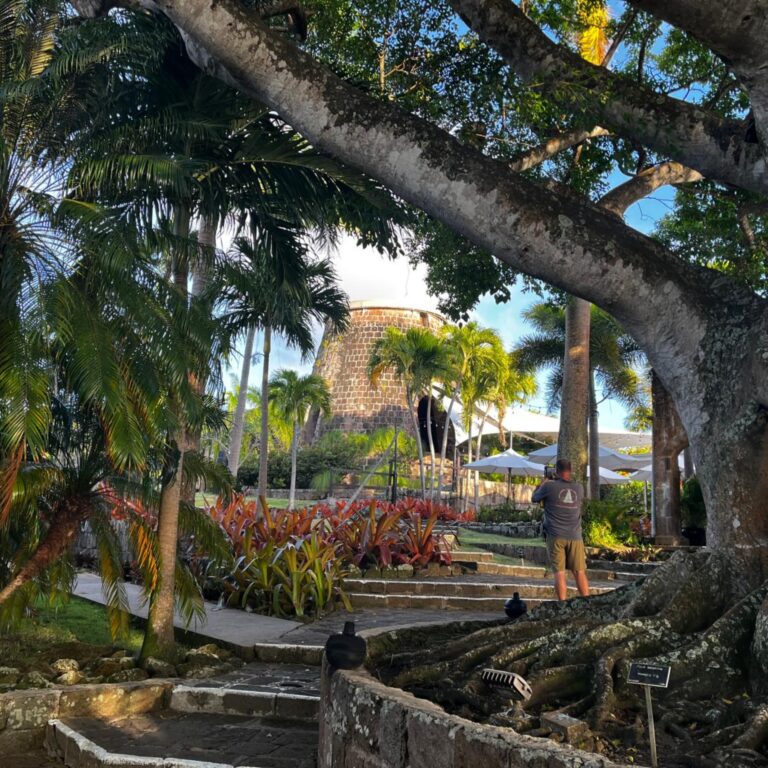 banniere-st-kitts-et-nevis